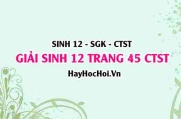 Giải Sinh 12 trang 45 Chân trời sáng tạo SGK